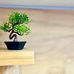 Apartman Charm 1a